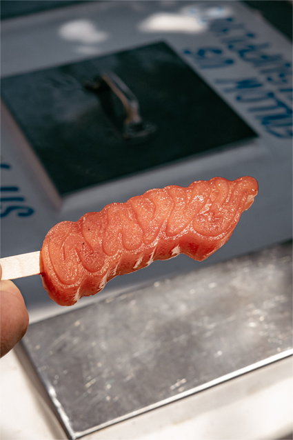 WAVVY paleta close-up