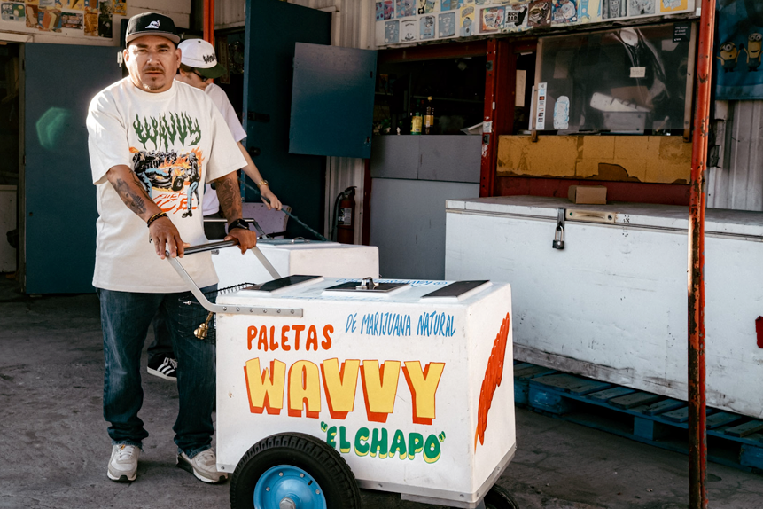WAVVY paleta cart — The Wavvy Paleta Tour