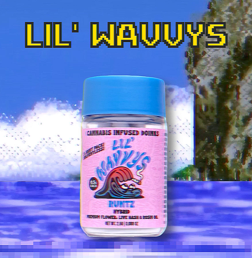 Lil Wavvys 8-bit Video
