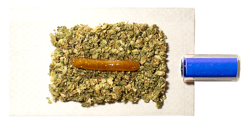 Mini Donut Educational