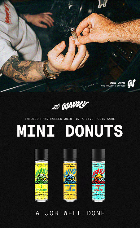 Mini Donuts Launch - Infused Preroll