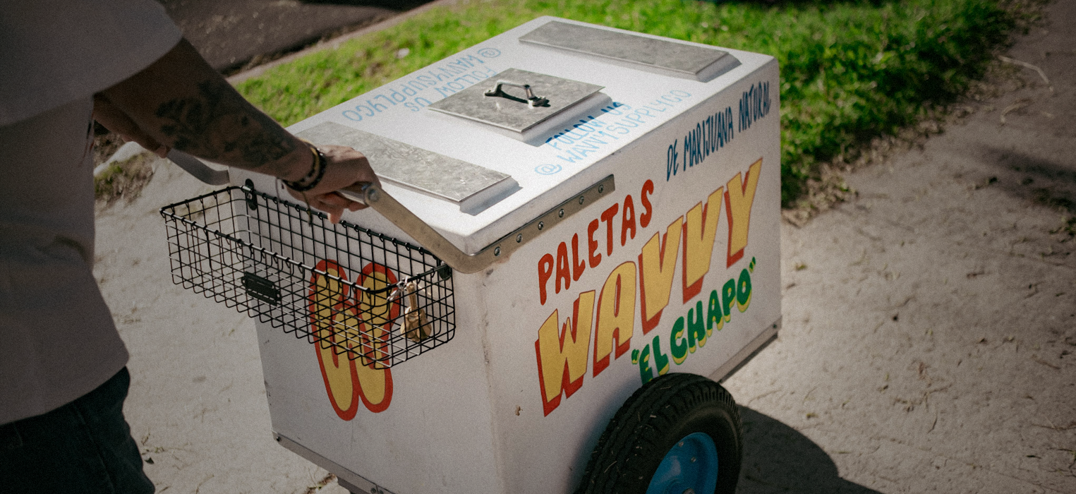 Wavvy Paleta Tour